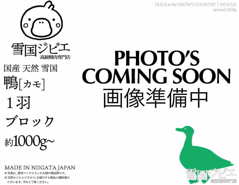 雪国鴨 1羽